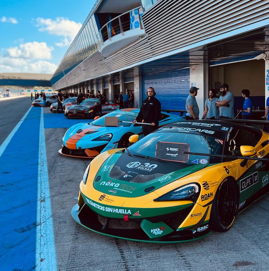 Pablo Martos, Motor Sport Engineer (Mclaren 570s, Mercedes Benz GT4 y BMW GT4).